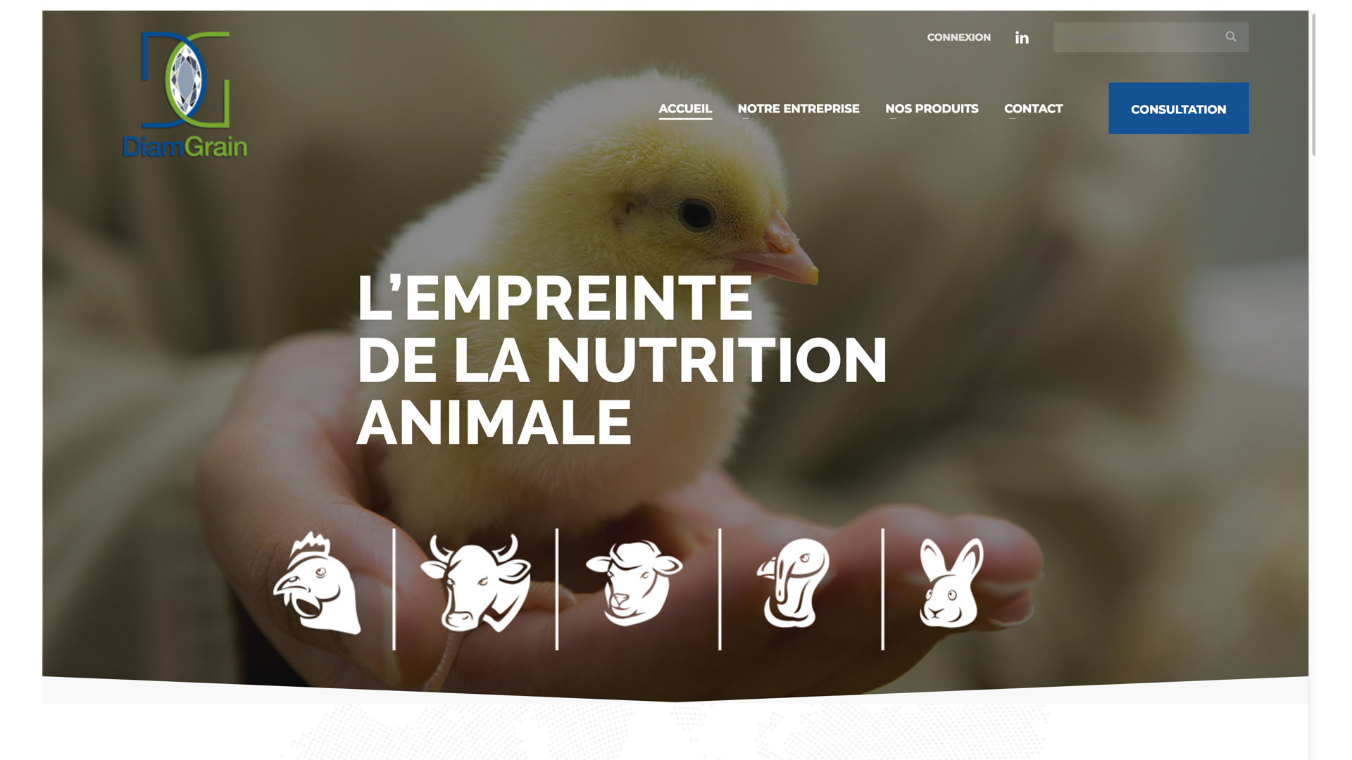 Plateforme E-Commerce DiamGrain